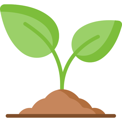 plant (2) plant (2)